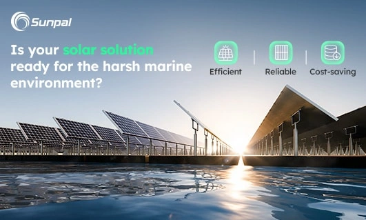 Filas de paneles solares instalados junto al agua con la luz del sol reflejándose en la superficie.