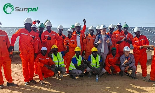 Sunpal technical and local team at Chad’s first hybrid solar power station.