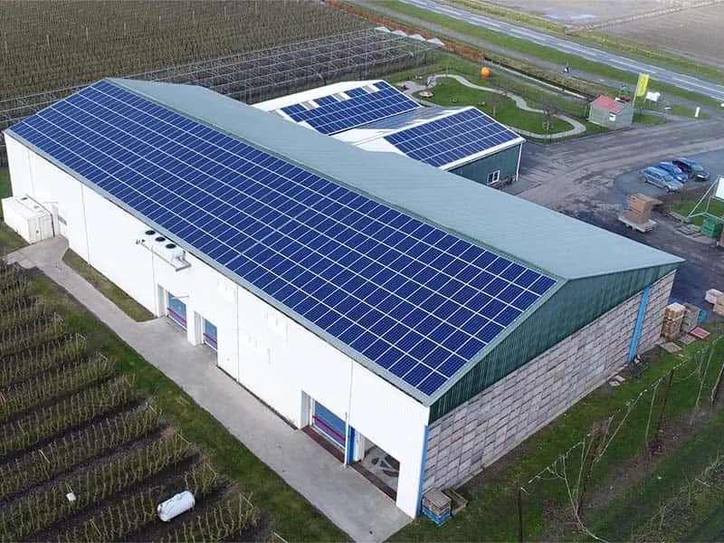 A Sunpal Solar implementou uma solução de energia solar de 1,5 MW para a agricultura na Zâmbia