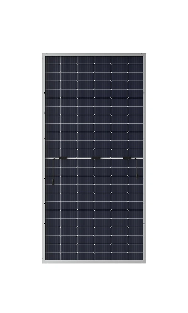Power Up Your Home Or Business With Reliable Solar Energy Bifacial PERC BiMAX4 PV Panel