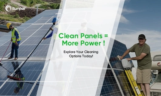 Optimal Efficiency: Professional vs. DIY Solar Panel Cleaning