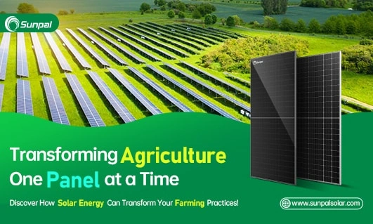 Embrace Solar Energy for a Sustainable Agricultural Future