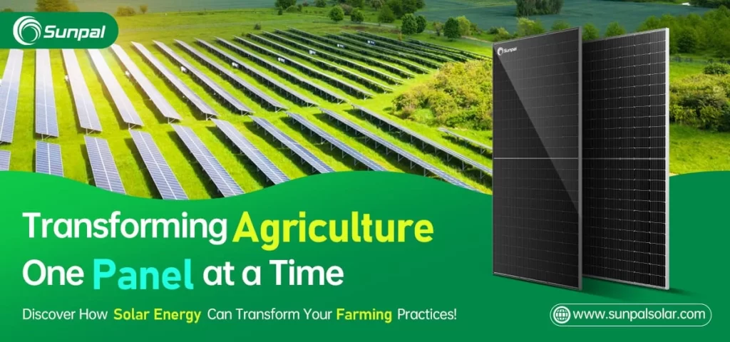 Harness Solar Energy: Your Guide to Sustainable Farming Solutions