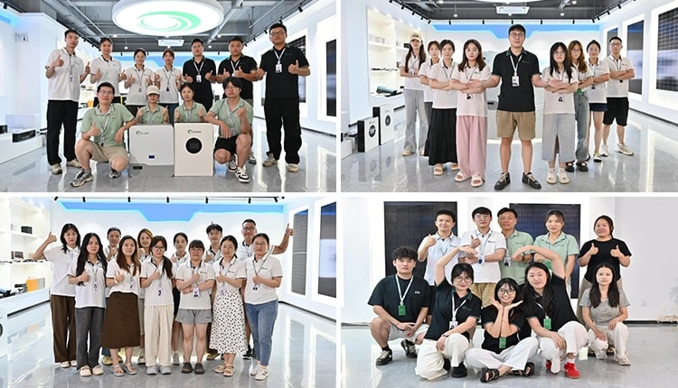Solar Solutions Experts: Meet the Sunpal Team