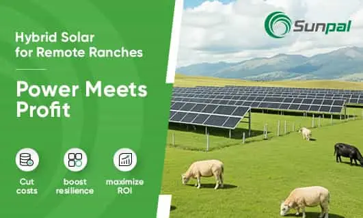 Ground-mounted solar panels across a green pasture with grazing livestock and a green info panel at left.